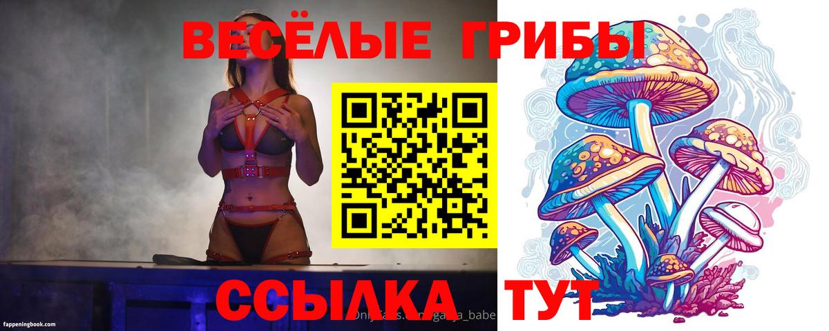 Галлюциногенные грибы мухоморы Щёкино